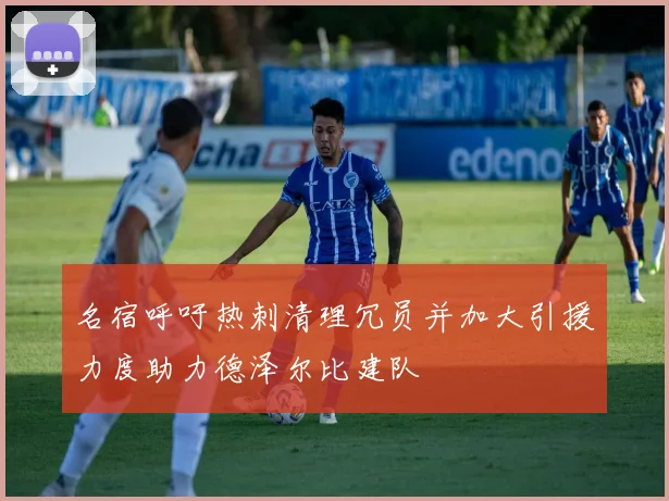 名宿呼吁热刺清理冗员并加大引援力度助力德泽尔比建队