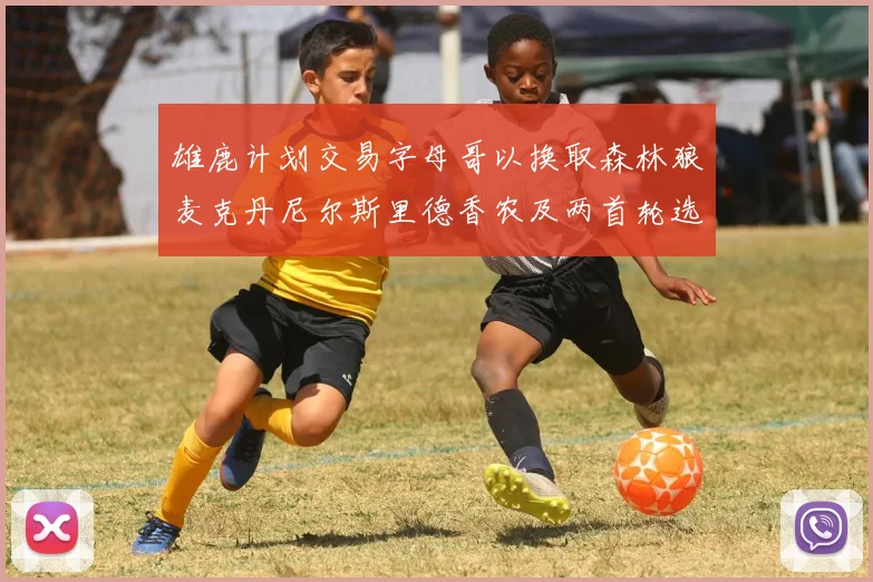 雄鹿计划交易字母哥以换取森林狼麦克丹尼尔斯里德香农及两首轮选秀权